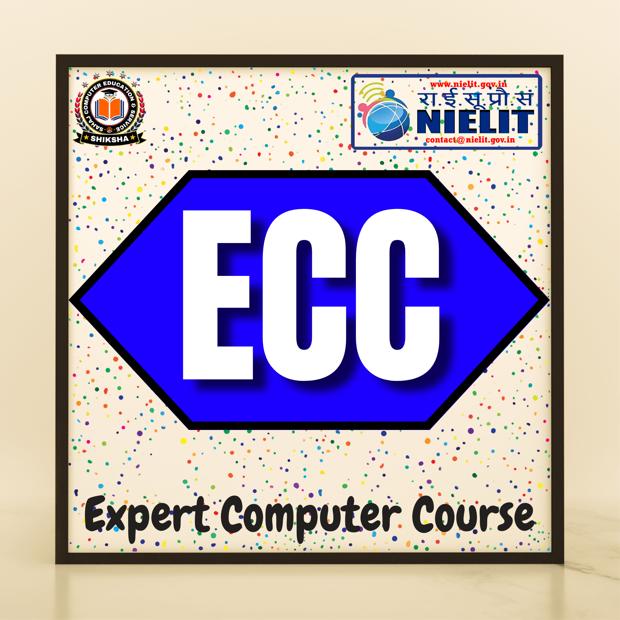 Expert Computer Course {NIELIT)