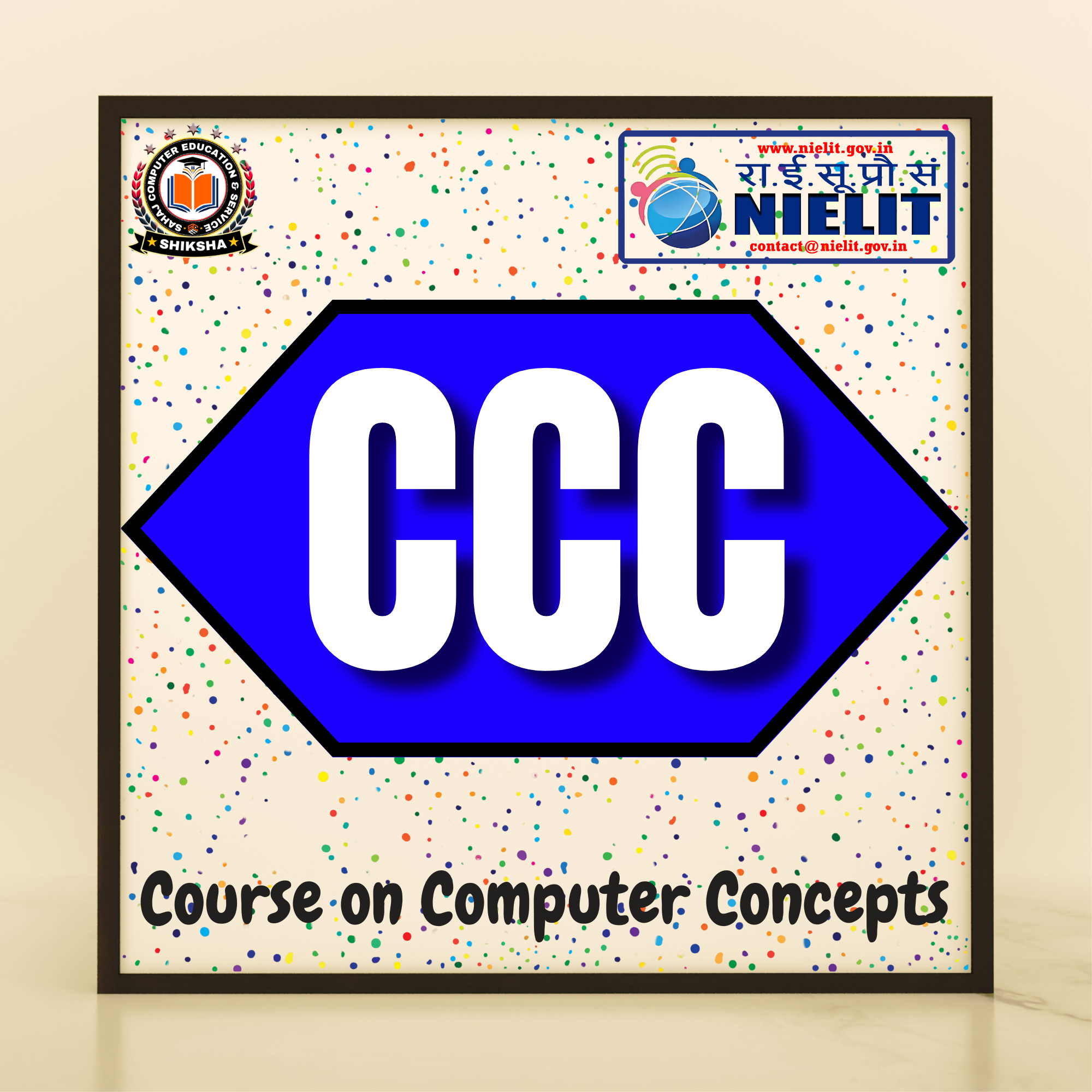 Course on Computer Concepts {NIELIT)