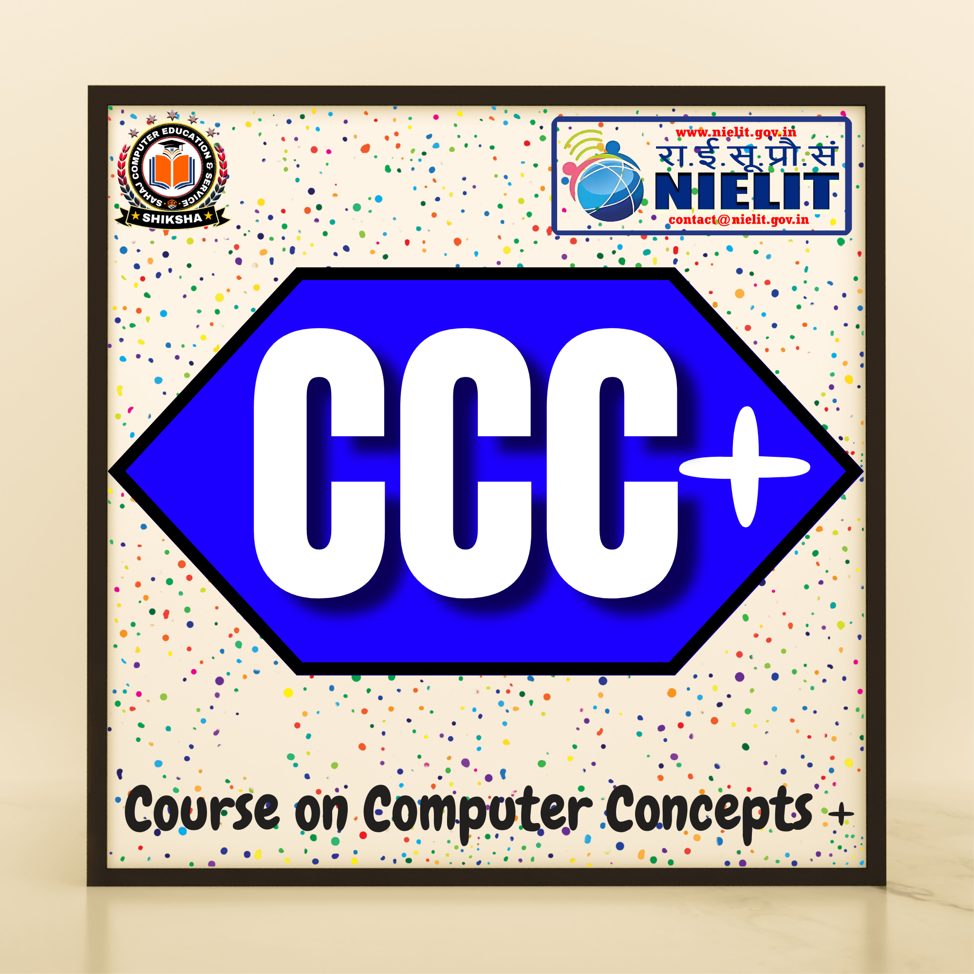 Course on Computer Concepts + {NIELIT)