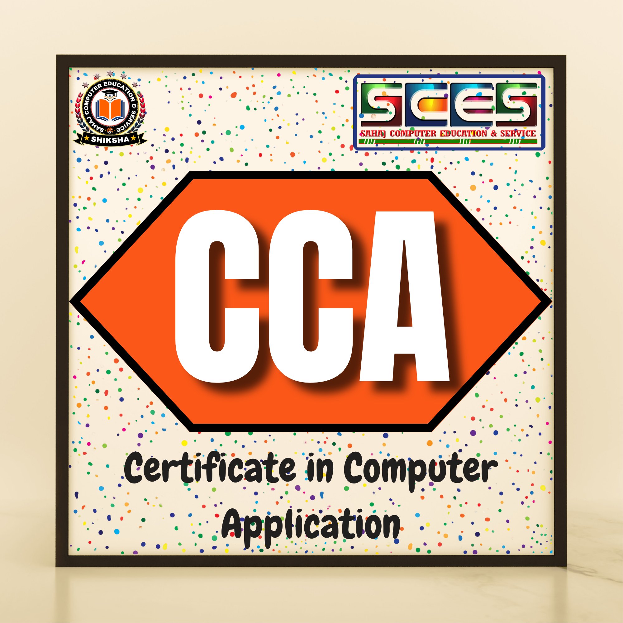 Certificate in Computer Application