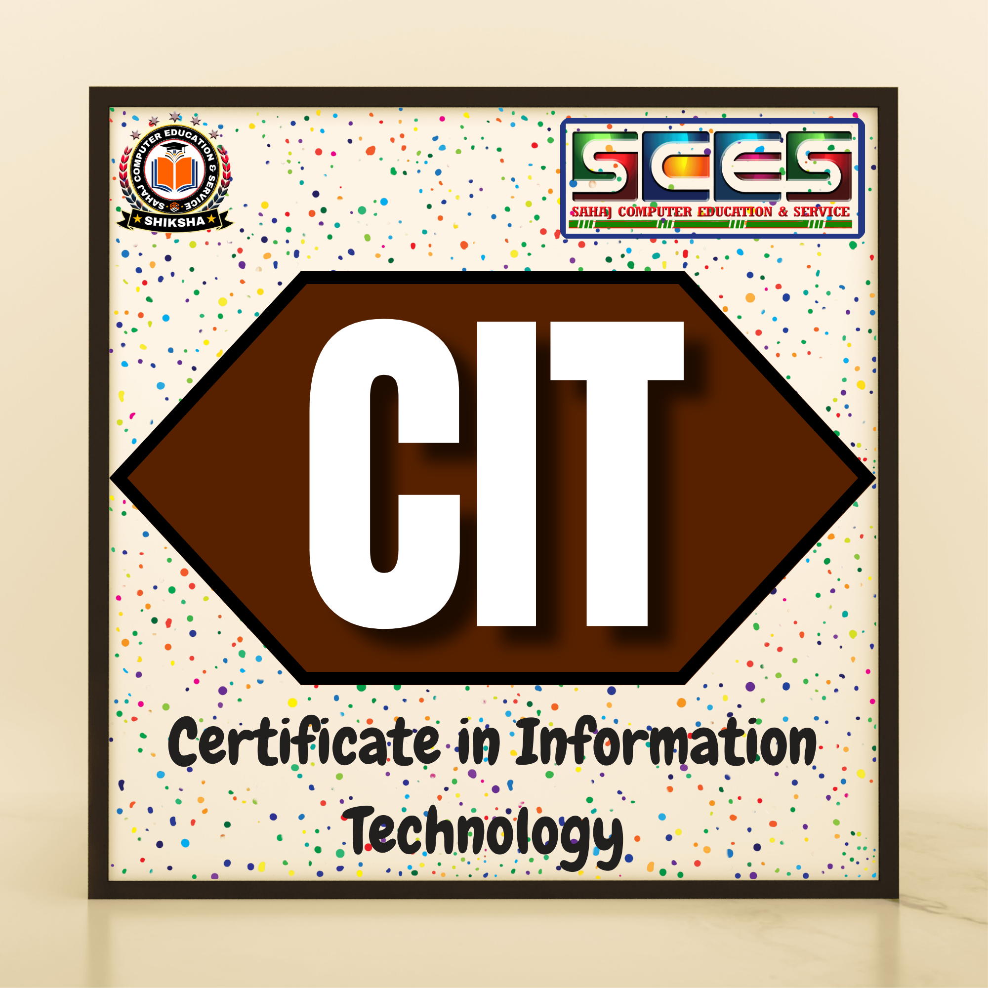 Certificate in Information Technology