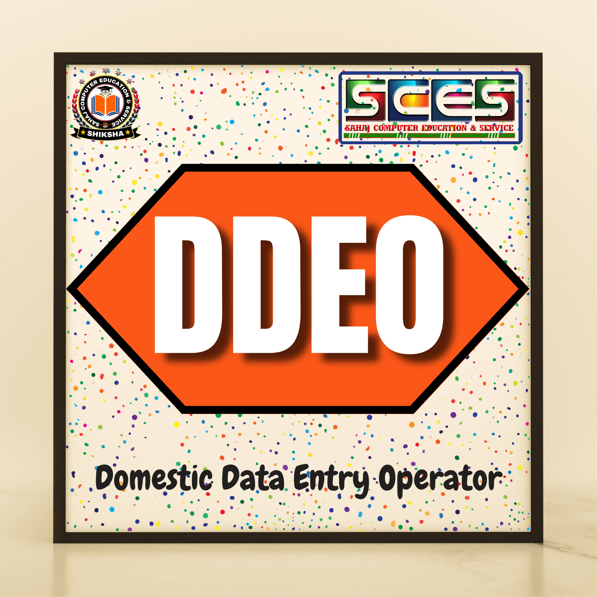 Domestic Data Entry Operator
