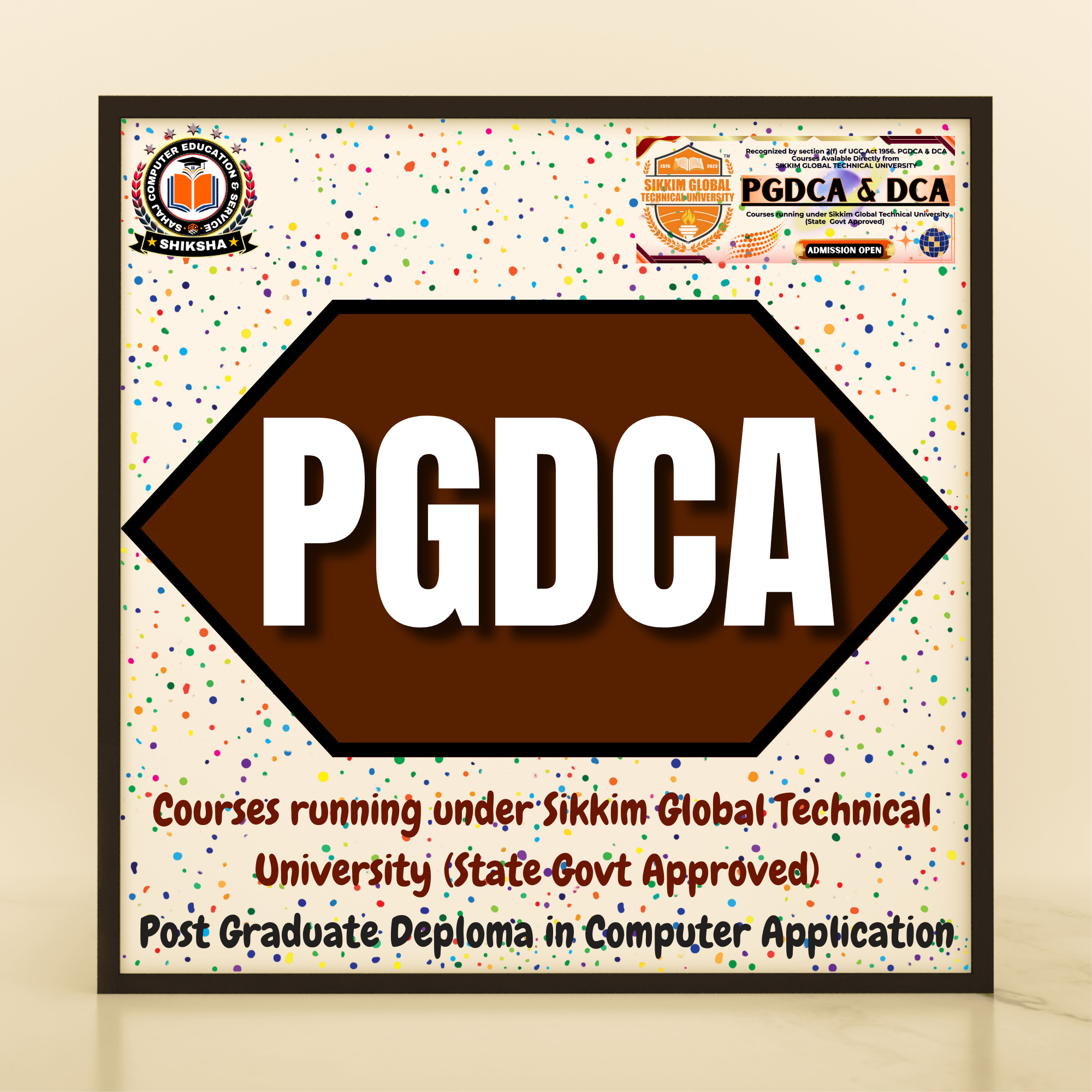 Post Graduate Deploma in Computer Application (University)