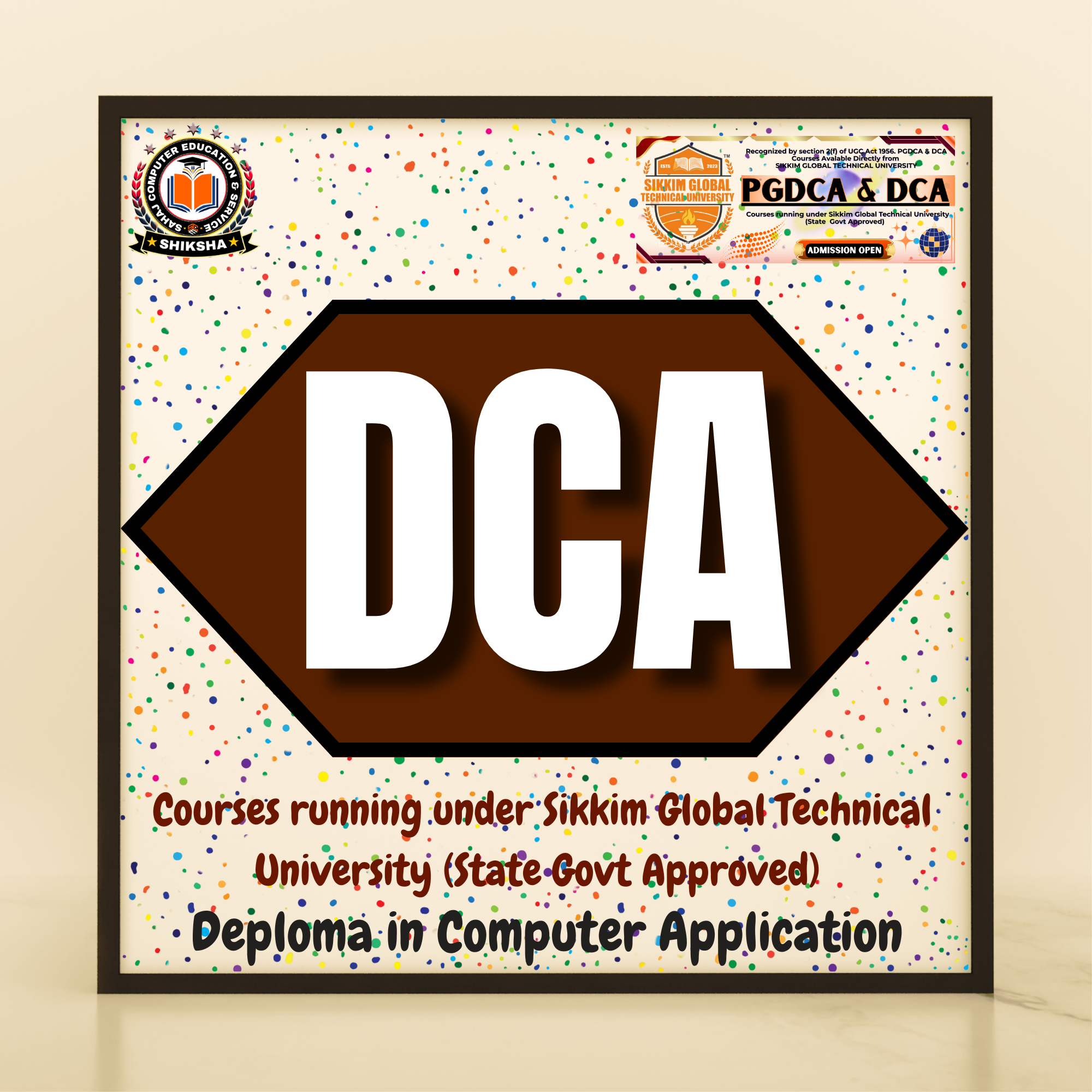 Deploma in Computer Application (University)