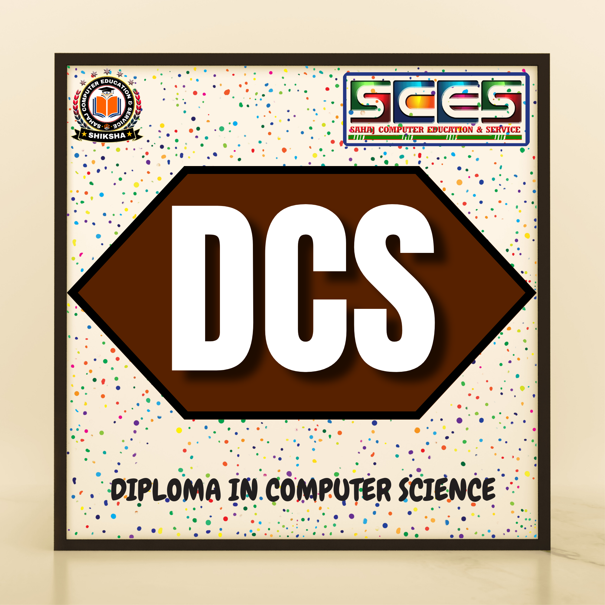 DIPLOMA IN COMPUTER SCIENCE (UNIVERSITY)