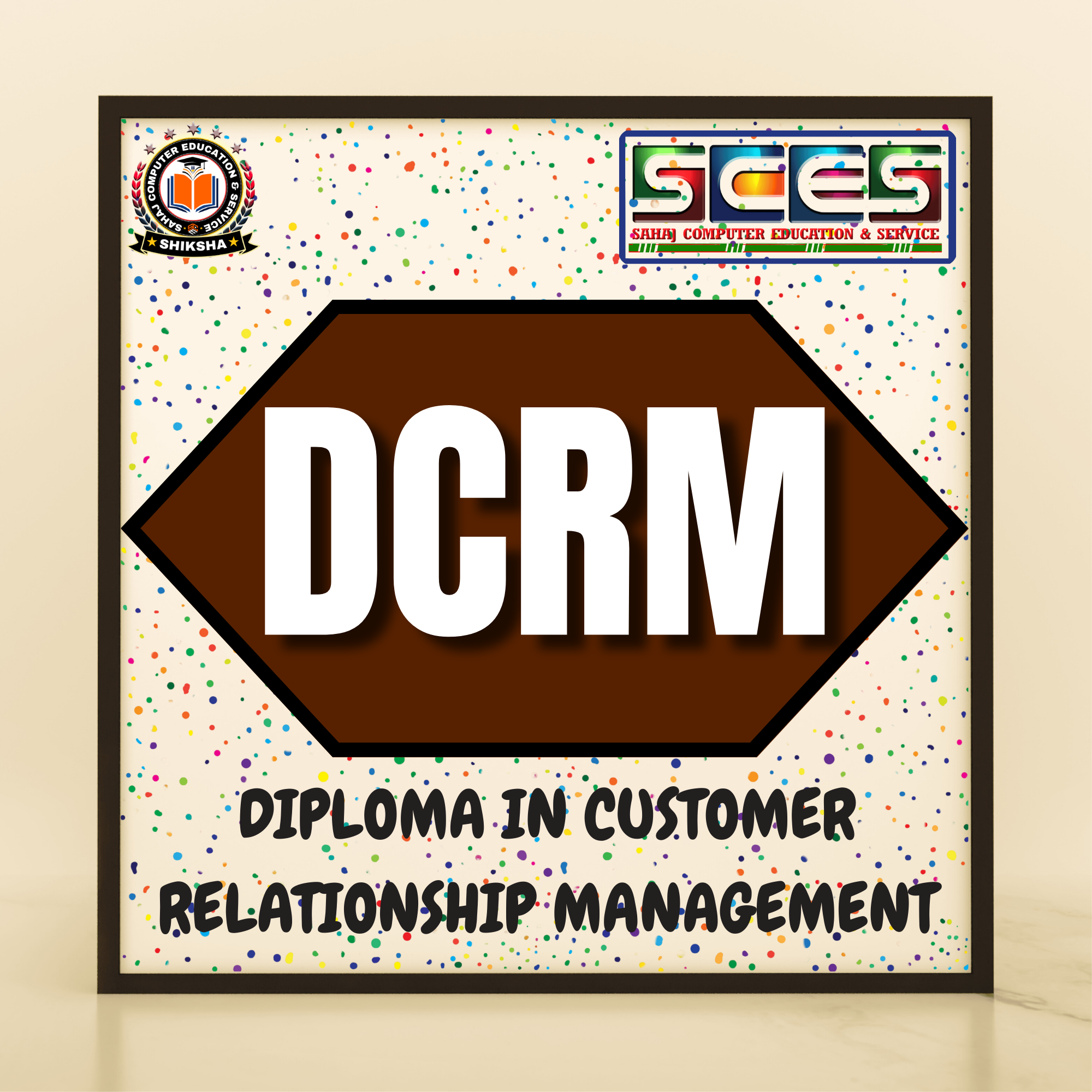 DIPLOMA IN CUSTOMER RELATIONSHIP MANAGEMENT
