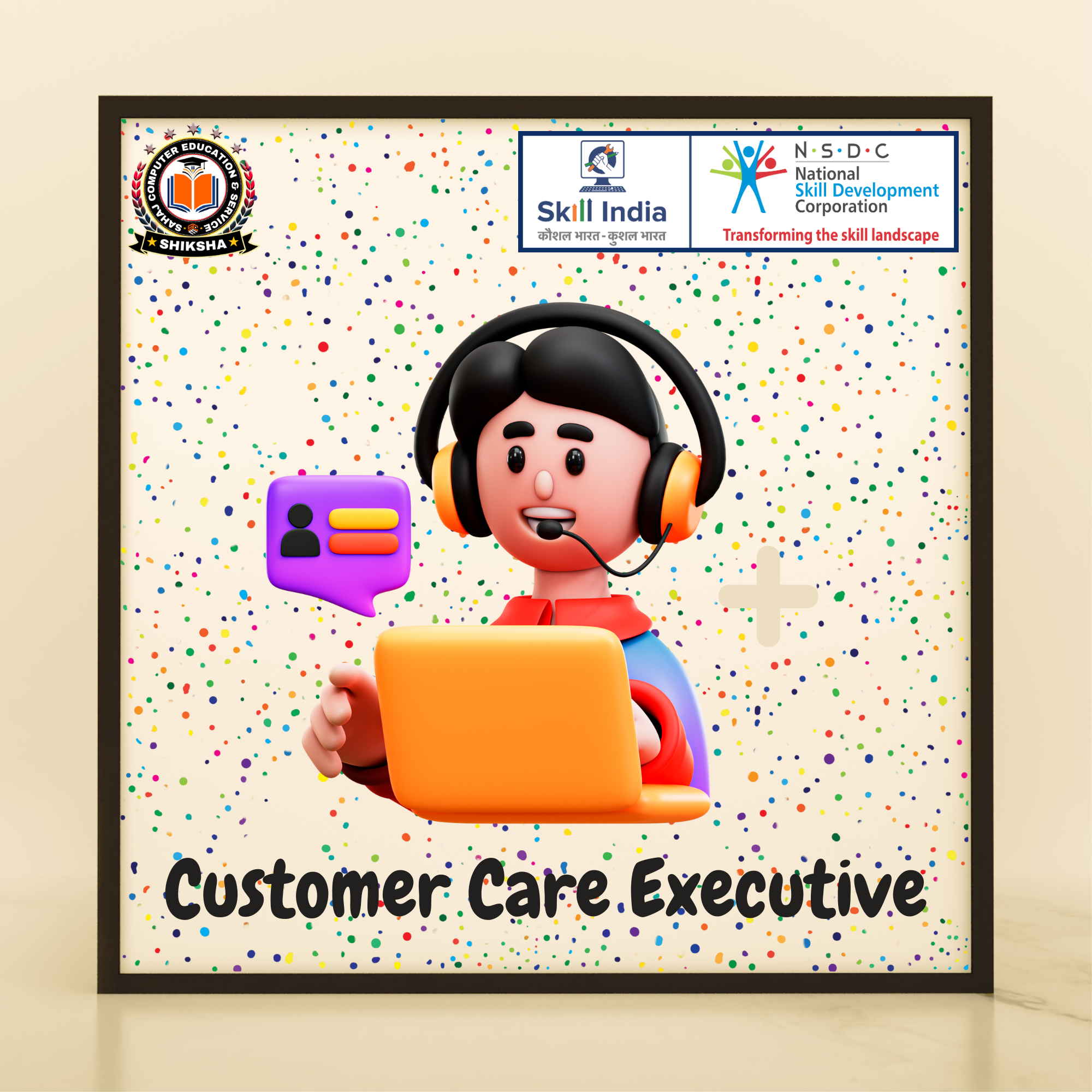 Customer Care Executive